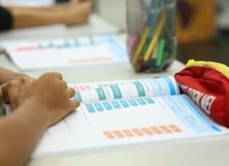 Censo Escolar 2026: dados da 1ª etapa podem ser conferidos até dia 11 Censo Escolar 2026: dados da 1ª etapa podem ser conferidos até dia 11