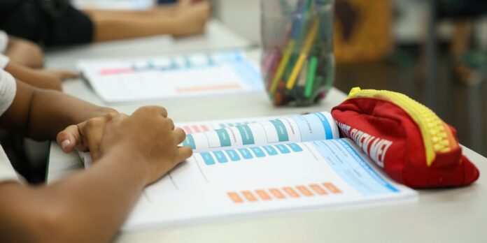 Censo Escolar 2026: dados da 1ª etapa podem ser conferidos Censo Escolar 2026: dados da 1ª etapa podem ser conferidos até dia 11