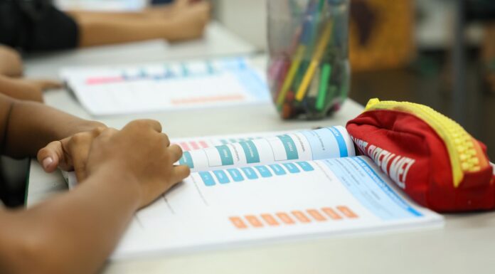 Censo Escolar 2026: dados da 1ª etapa podem ser conferidos até dia 11 Censo Escolar 2026: dados da 1ª etapa podem ser conferidos até dia 11